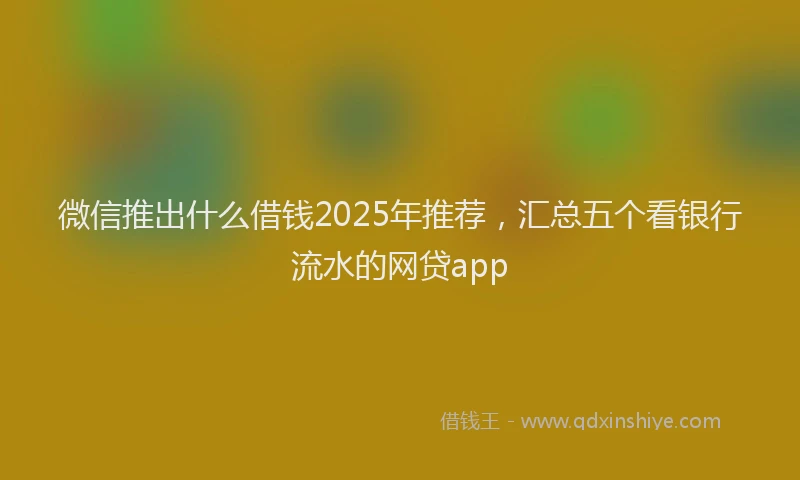 微信推出什么借钱2025年推荐，汇总五个看银行流水的网贷app