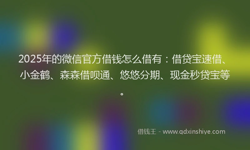 2025年的微信官方借钱怎么借有：借贷宝速借、小金鹤、森森借呗通、悠悠分期、现金秒贷宝等。