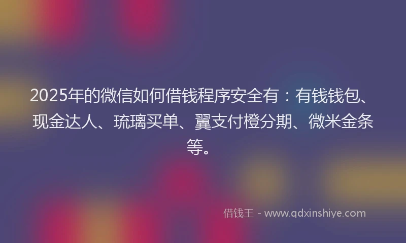2025年的微信如何借钱程序安全有：有钱钱包、现金达人、琉璃买单、翼支付橙分期、微米金条等。