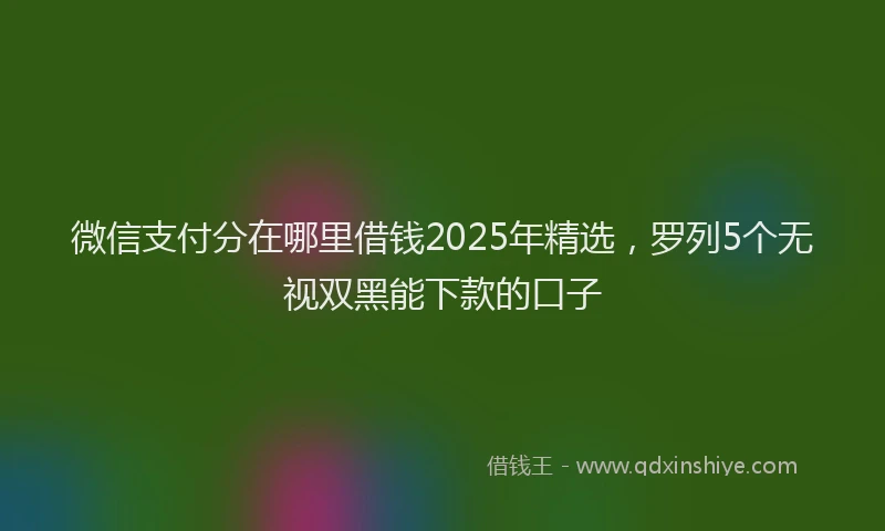 微信支付分在哪里借钱2025年精选，罗列5个无视双黑能下款的口子