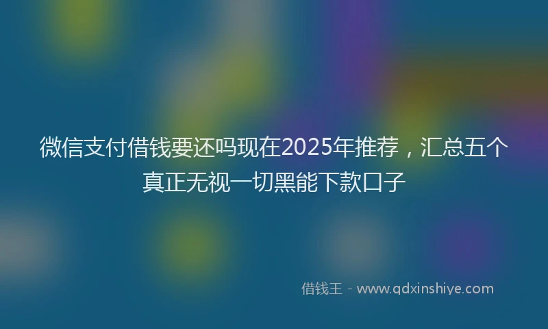 微信支付借钱要还吗现在2025年推荐，汇总五个真正无视一切黑能下款口子