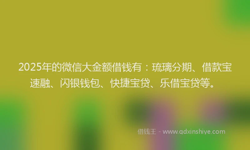 2025年的微信大金额借钱有：琉璃分期、借款宝速融、闪银钱包、快捷宝贷、乐借宝贷等。