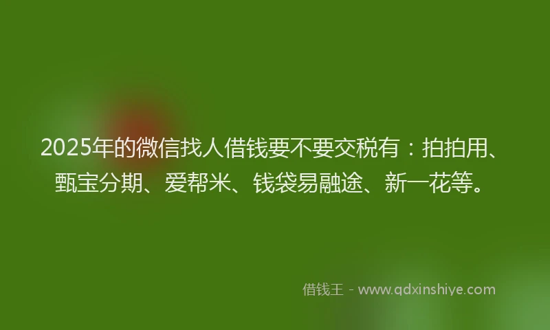 2025年的微信找人借钱要不要交税有：拍拍用、甄宝分期、爱帮米、钱袋易融途、新一花等。