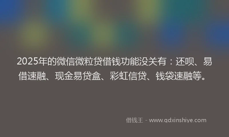 2025年的微信微粒贷借钱功能没关有：还呗、易借速融、现金易贷盒、彩虹信贷、钱袋速融等。