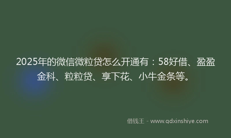 2025年的微信微粒贷怎么开通有：58好借、盈盈金科、粒粒贷、享下花、小牛金条等。