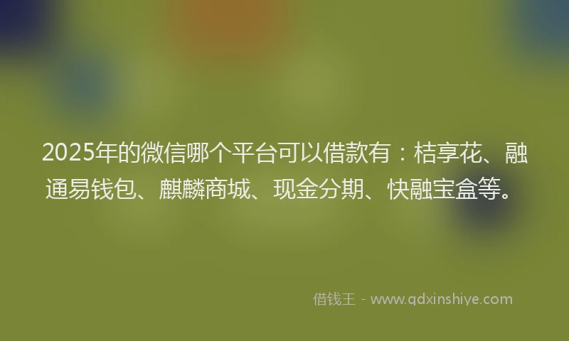 2025年的微信哪个平台可以借款有：桔享花、融通易钱包、麒麟商城、现金分期、快融宝盒等。