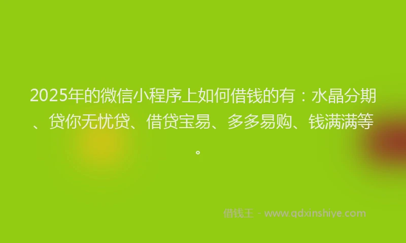 2025年的微信小程序上如何借钱的有：水晶分期、贷你无忧贷、借贷宝易、多多易购、钱满满等。