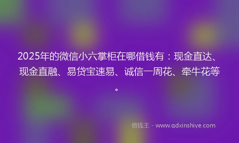 2025年的微信小六掌柜在哪借钱有：现金直达、现金直融、易贷宝速易、诚信一周花、牵牛花等。