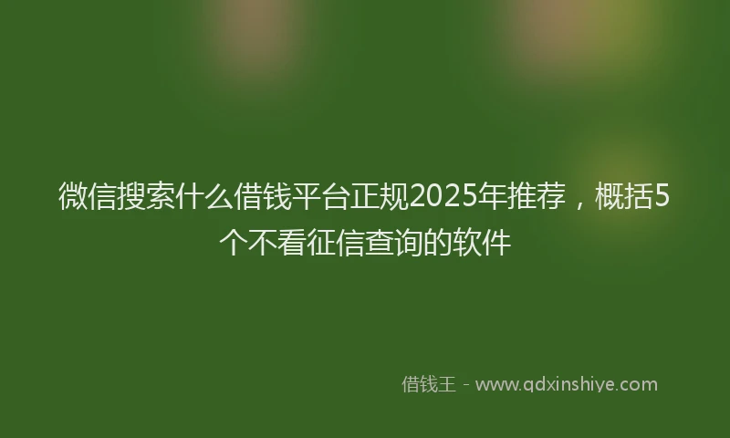 微信搜索什么借钱平台正规2025年推荐，概括5个不看征信查询的软件