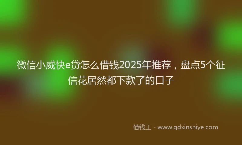 微信小威快e贷怎么借钱2025年推荐，盘点5个征信花居然都下款了的口子