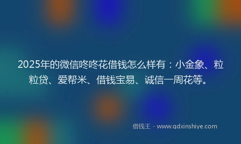 2025年的微信咚咚花借钱怎么样有：小金象、粒粒贷、爱帮米、借钱宝易、诚信一周花等。