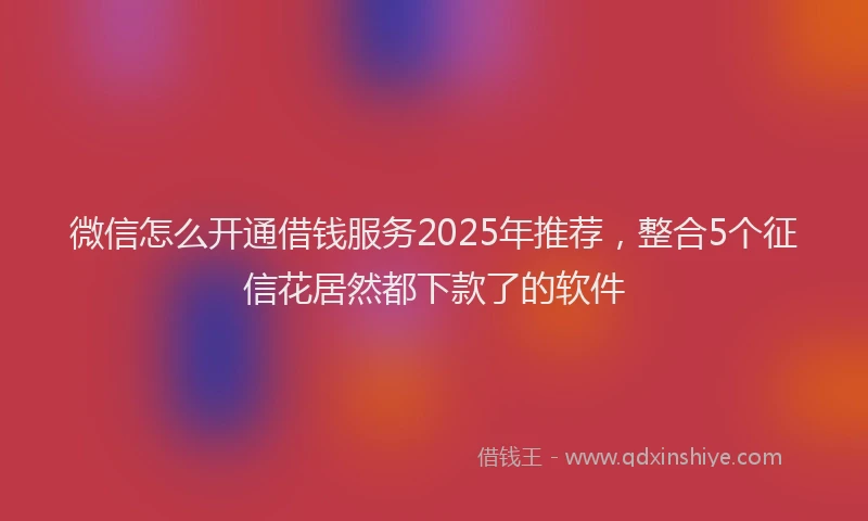 微信怎么开通借钱服务2025年推荐，整合5个征信花居然都下款了的软件