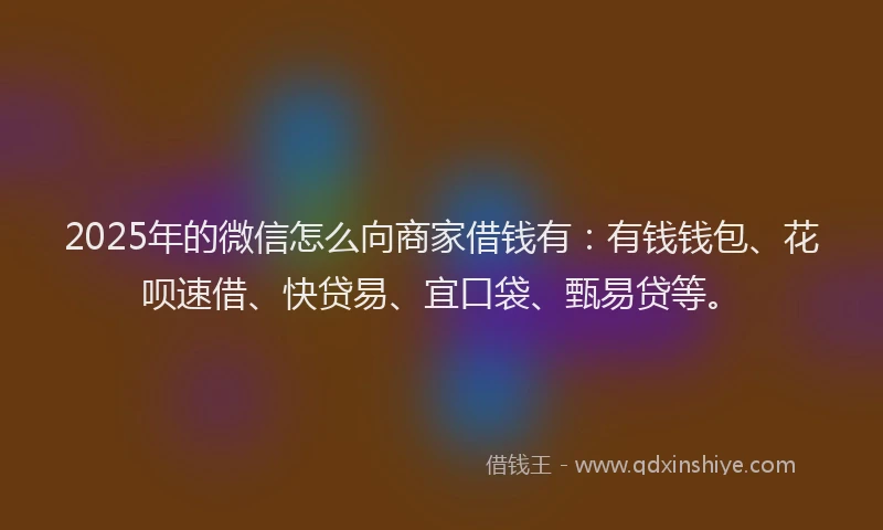 2025年的微信怎么向商家借钱有：有钱钱包、花呗速借、快贷易、宜口袋、甄易贷等。