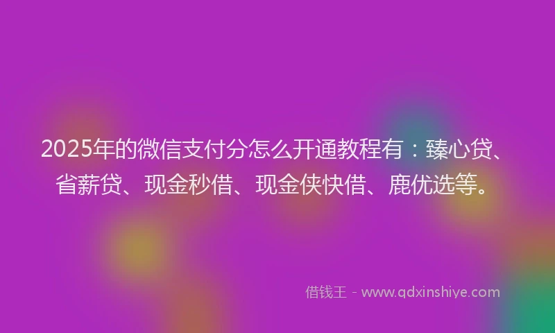 2025年的微信支付分怎么开通教程有：臻心贷、省薪贷、现金秒借、现金侠快借、鹿优选等。