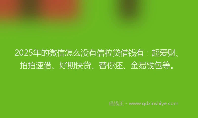 2025年的微信怎么没有信粒贷借钱有：超爱财、拍拍速借、好期快贷、替你还、金易钱包等。