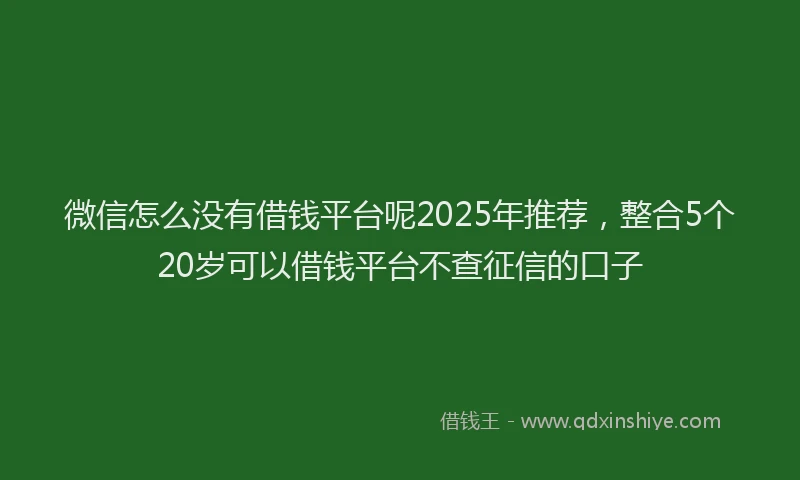 微信怎么没有借钱平台呢2025年推荐，整合5个20岁可以借钱平台不查征信的口子