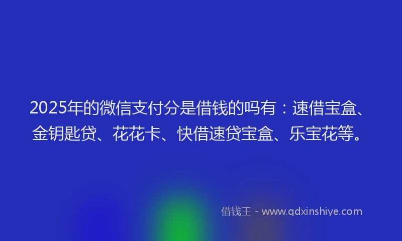2025年的微信支付分是借钱的吗有：速借宝盒、金钥匙贷、花花卡、快借速贷宝盒、乐宝花等。