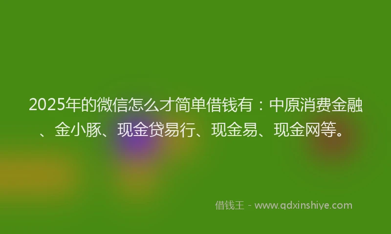 2025年的微信怎么才简单借钱有：中原消费金融、金小豚、现金贷易行、现金易、现金网等。