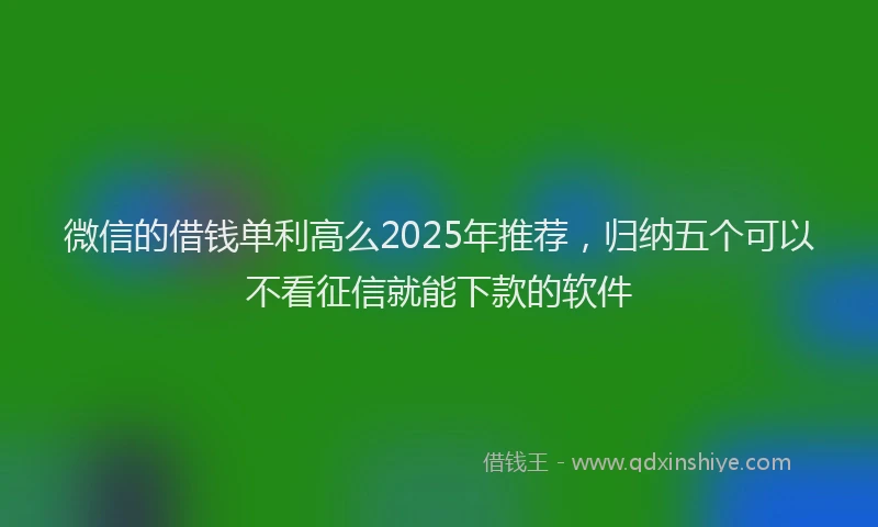 微信的借钱单利高么2025年推荐，归纳五个可以不看征信就能下款的软件