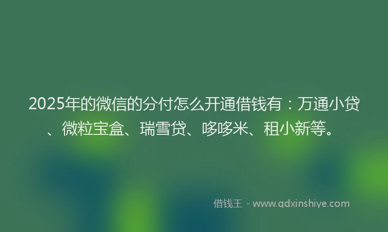 2025年的微信的分付怎么开通借钱有：万通小贷、微粒宝盒、瑞雪贷、哆哆米、租小新等。