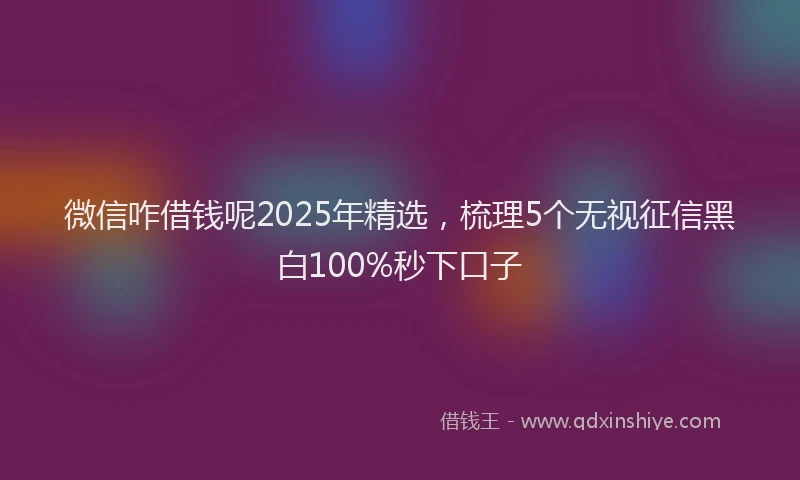 微信咋借钱呢2025年精选，梳理5个无视征信黑白100%秒下口子