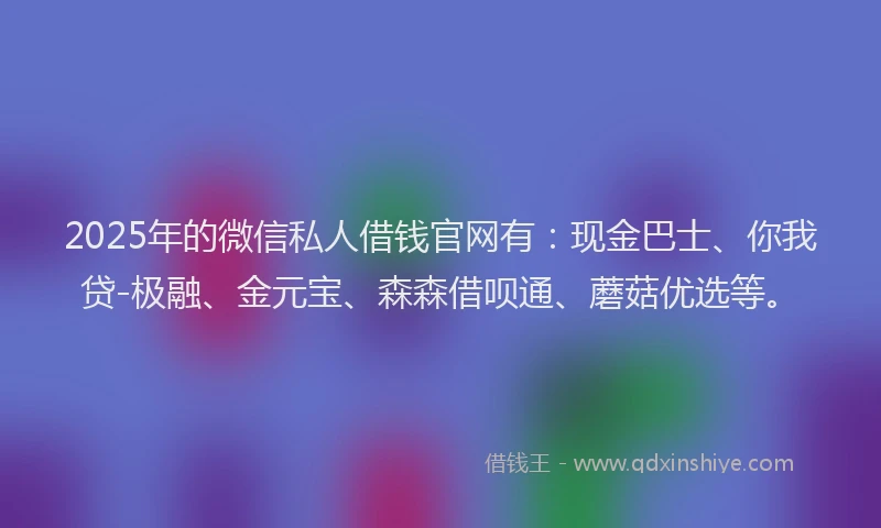 2025年的微信私人借钱官网有：现金巴士、你我贷-极融、金元宝、森森借呗通、蘑菇优选等。
