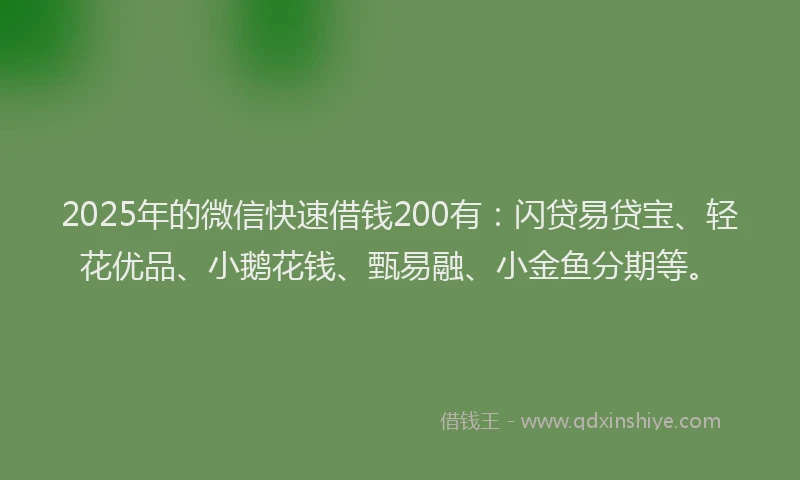 2025年的微信快速借钱200有：闪贷易贷宝、轻花优品、小鹅花钱、甄易融、小金鱼分期等。