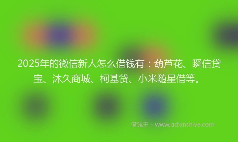 2025年的微信新人怎么借钱有：葫芦花、瞬信贷宝、沐久商城、柯基贷、小米随星借等。