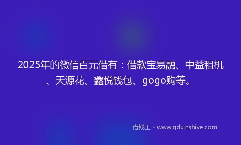 2025年的微信百元借有：借款宝易融、中益租机、天源花、鑫悦钱包、gogo购等。