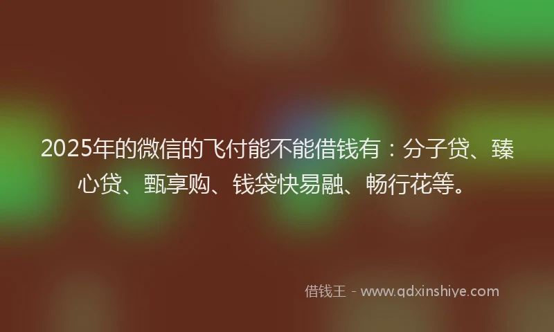 2025年的微信的飞付能不能借钱有：分子贷、臻心贷、甄享购、钱袋快易融、畅行花等。