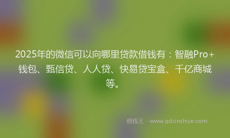 2025年的微信可以向哪里贷款借钱有：智融Pro+钱包、甄信贷、人人贷、快易贷宝盒、千亿商城等。