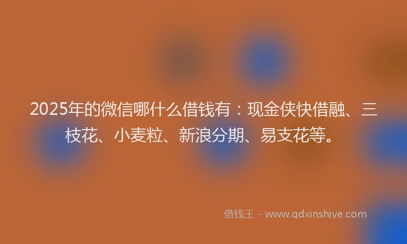 2025年的微信哪什么借钱有：现金侠快借融、三枝花、小麦粒、新浪分期、易支花等。