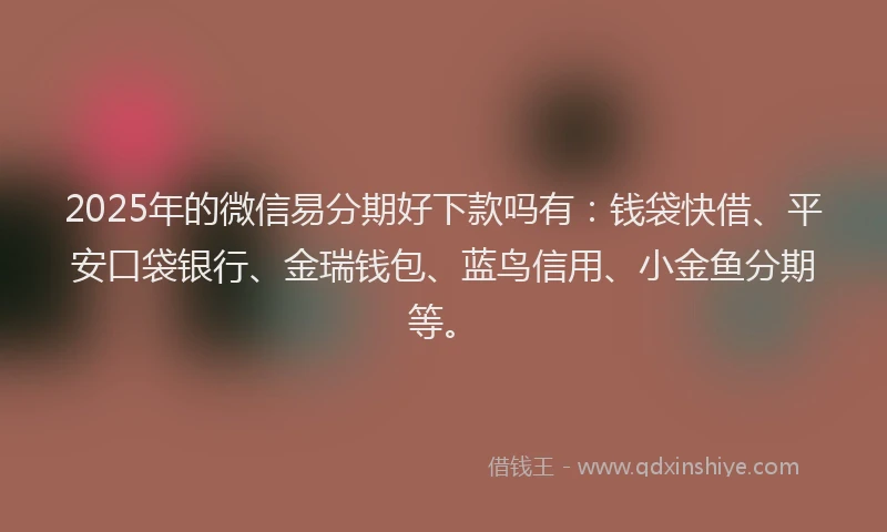 2025年的微信易分期好下款吗有：钱袋快借、平安口袋银行、金瑞钱包、蓝鸟信用、小金鱼分期等。