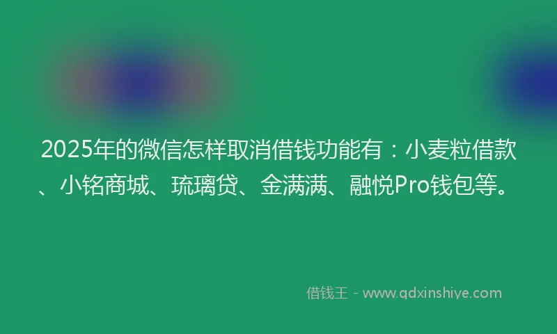 2025年的微信怎样取消借钱功能有：小麦粒借款、小铭商城、琉璃贷、金满满、融悦Pro钱包等。
