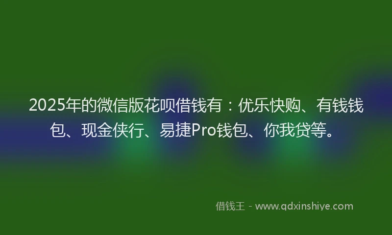 2025年的微信版花呗借钱有：优乐快购、有钱钱包、现金侠行、易捷Pro钱包、你我贷等。