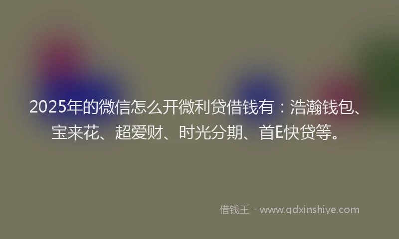 2025年的微信怎么开微利贷借钱有：浩瀚钱包、宝来花、超爱财、时光分期、首E快贷等。