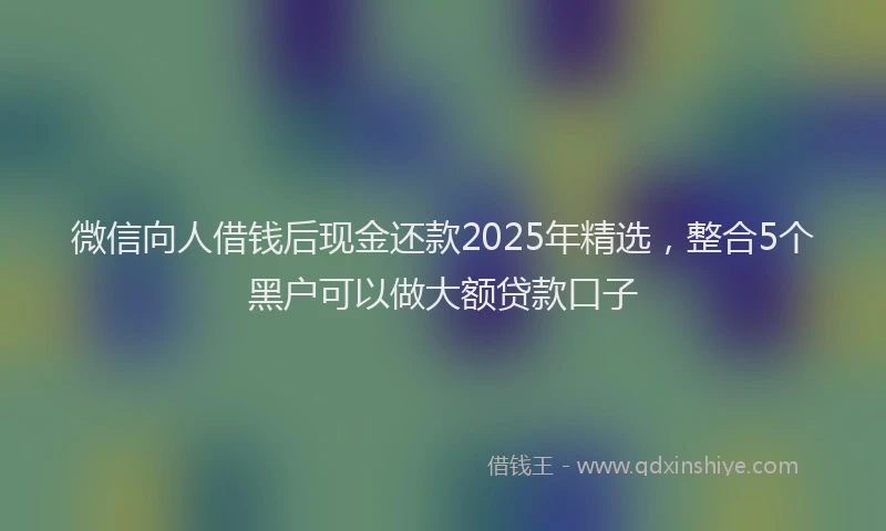 微信向人借钱后现金还款2025年精选，整合5个黑户可以做大额贷款口子