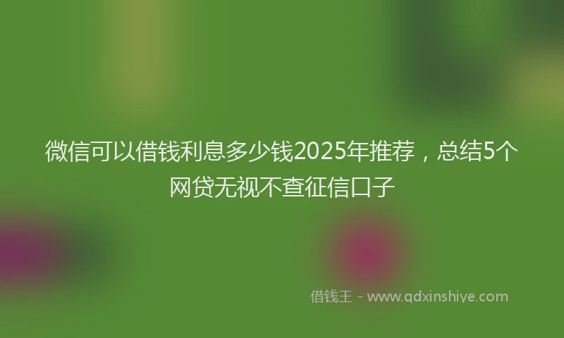 微信可以借钱利息多少钱2025年推荐，总结5个网贷无视不查征信口子