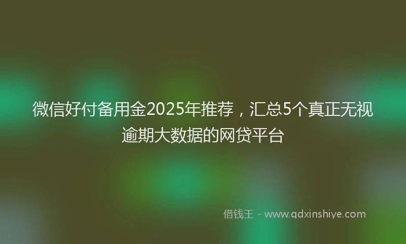 微信好付备用金2025年推荐，汇总5个真正无视逾期大数据的网贷平台