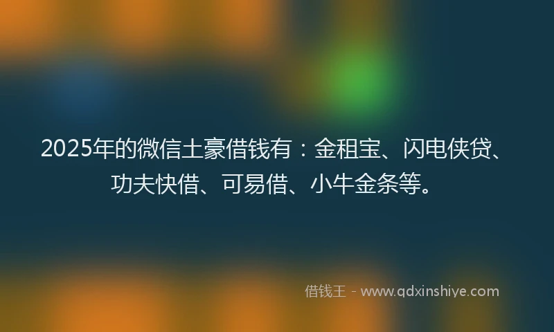 2025年的微信土豪借钱有：金租宝、闪电侠贷、功夫快借、可易借、小牛金条等。