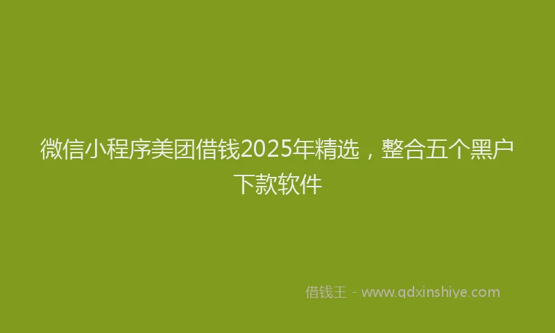 微信小程序美团借钱2025年精选，整合五个黑户下款软件