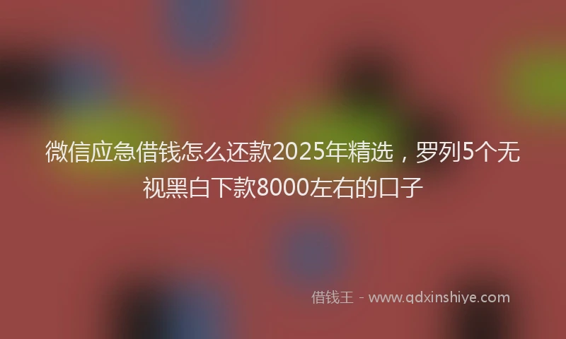 微信应急借钱怎么还款2025年精选，罗列5个无视黑白下款8000左右的口子