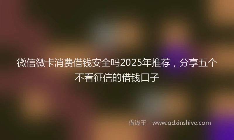 微信微卡消费借钱安全吗2025年推荐，分享五个不看征信的借钱口子