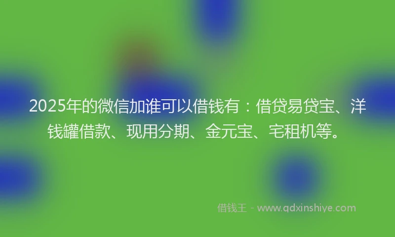 2025年的微信加谁可以借钱有：借贷易贷宝、洋钱罐借款、现用分期、金元宝、宅租机等。