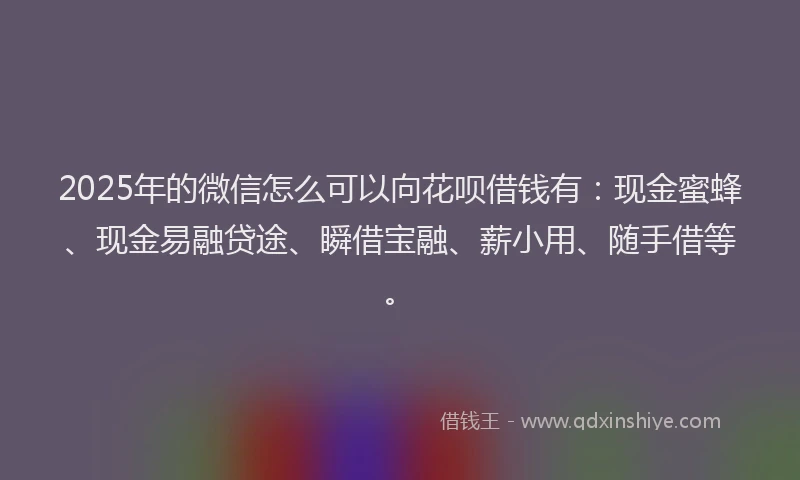 2025年的微信怎么可以向花呗借钱有：现金蜜蜂、现金易融贷途、瞬借宝融、薪小用、随手借等。