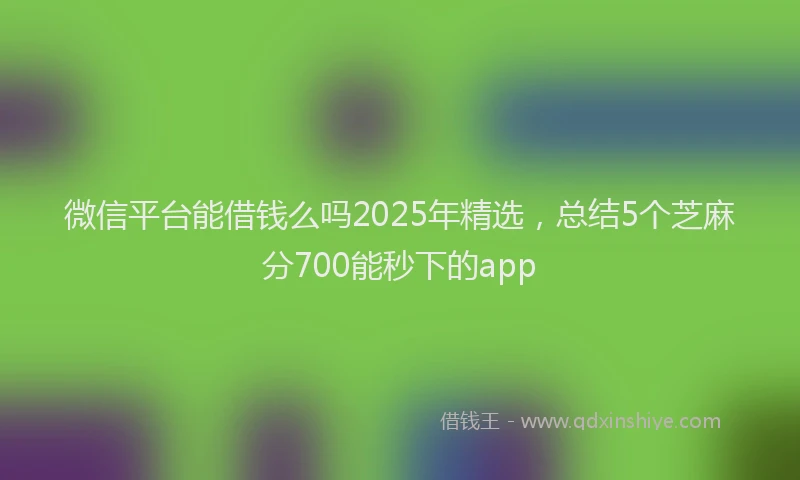 微信平台能借钱么吗2025年精选，总结5个芝麻分700能秒下的app