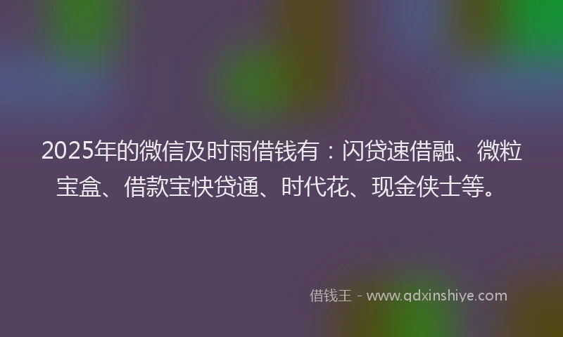 2025年的微信及时雨借钱有：闪贷速借融、微粒宝盒、借款宝快贷通、时代花、现金侠士等。