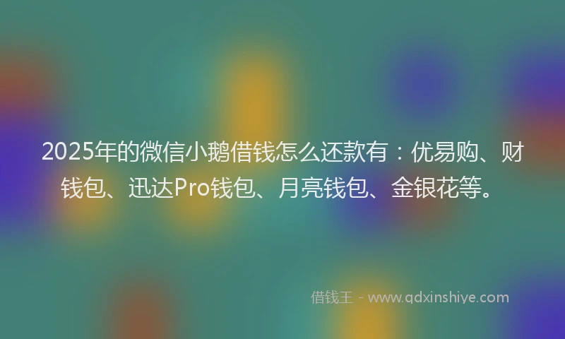 2025年的微信小鹅借钱怎么还款有：优易购、财钱包、迅达Pro钱包、月亮钱包、金银花等。