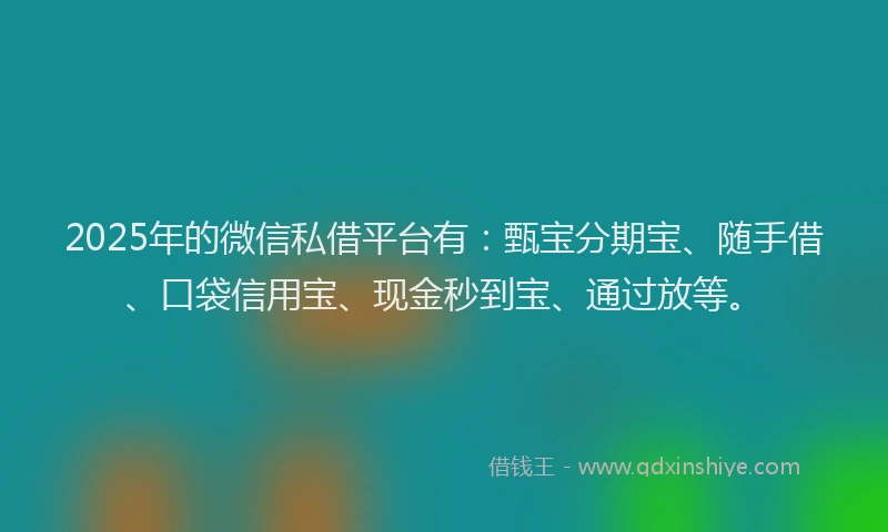 2025年的微信私借平台有：甄宝分期宝、随手借、口袋信用宝、现金秒到宝、通过放等。