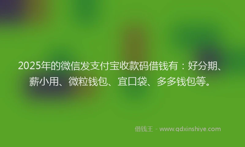 2025年的微信发支付宝收款码借钱有：好分期、薪小用、微粒钱包、宜口袋、多多钱包等。